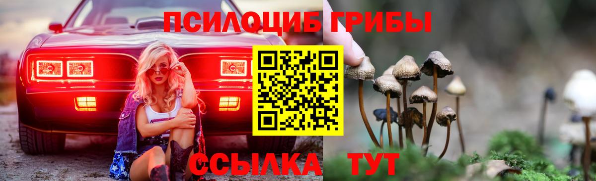 Алушта  Псилоцибиновые грибы мухоморы  Вход с VPN  где можно купить   Галлюциногенные грибы MAGIC MUSHROOMS 